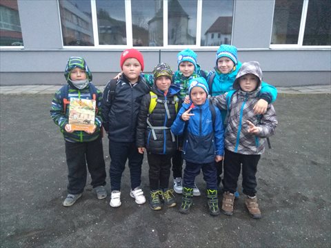 IMG_20191115_161245.jpg