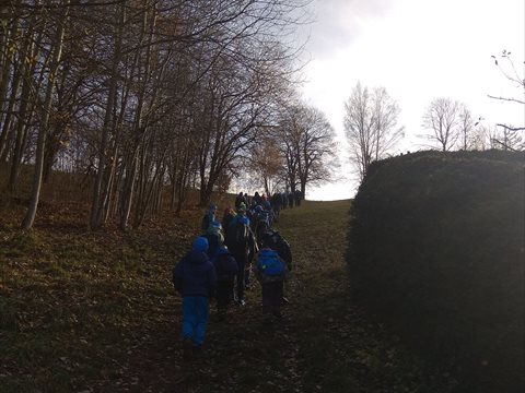 IMG_20191117_095027.jpg