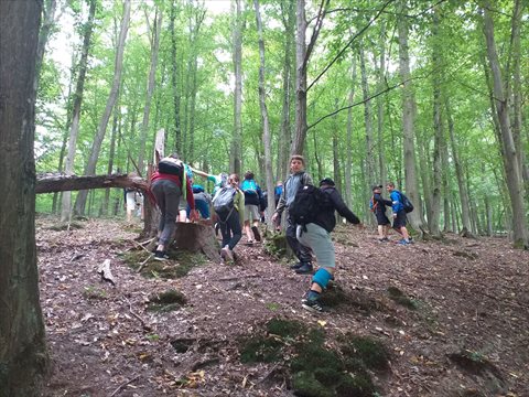 20210819_111515.jpg