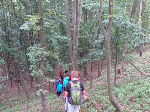 20210819_133110.jpg