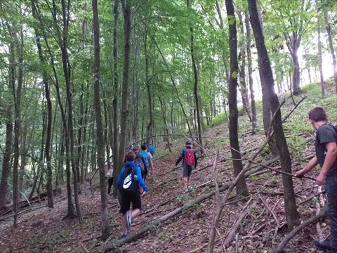 20210819_133241.jpg