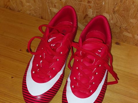 20230628_172739.jpg