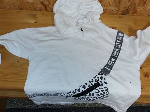 20230628_172913.jpg